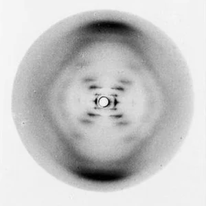 Photo 51 — the X-ray diffraction image that helped reveal the structure of DNA